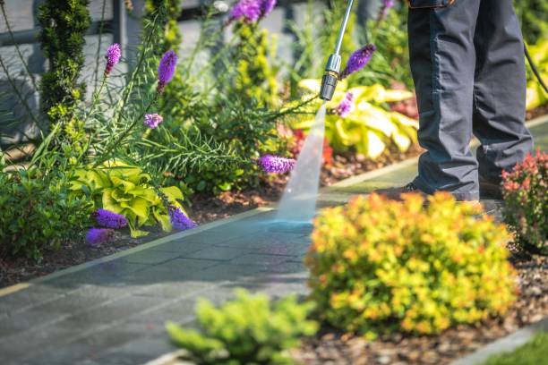 Best Roof Washing  in Crest Hl, IL